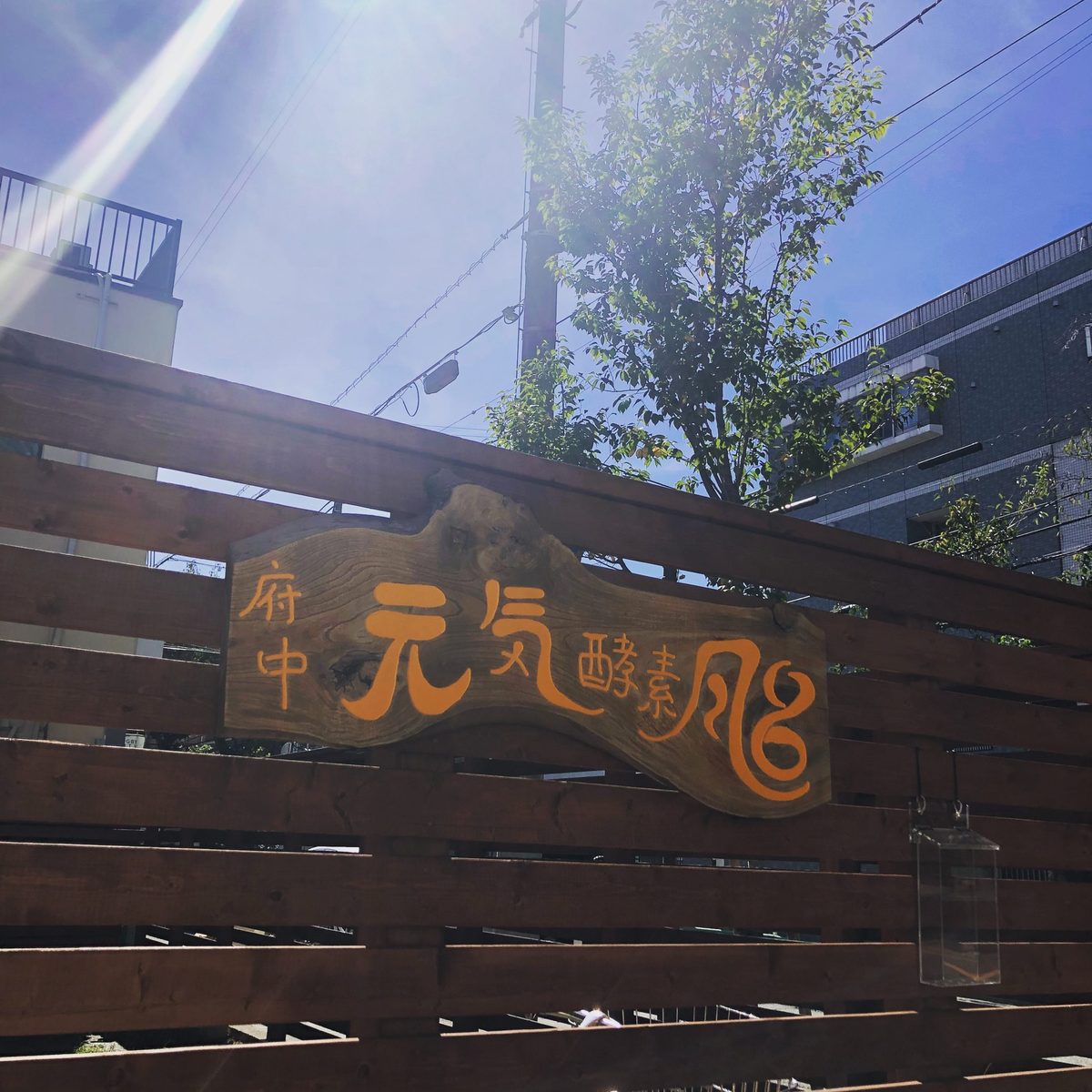 青空の下、木の塀に掲げられた元気酵素風呂の木彫り看板と新緑